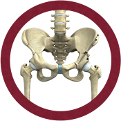 Hip Preservation Surgery Icon